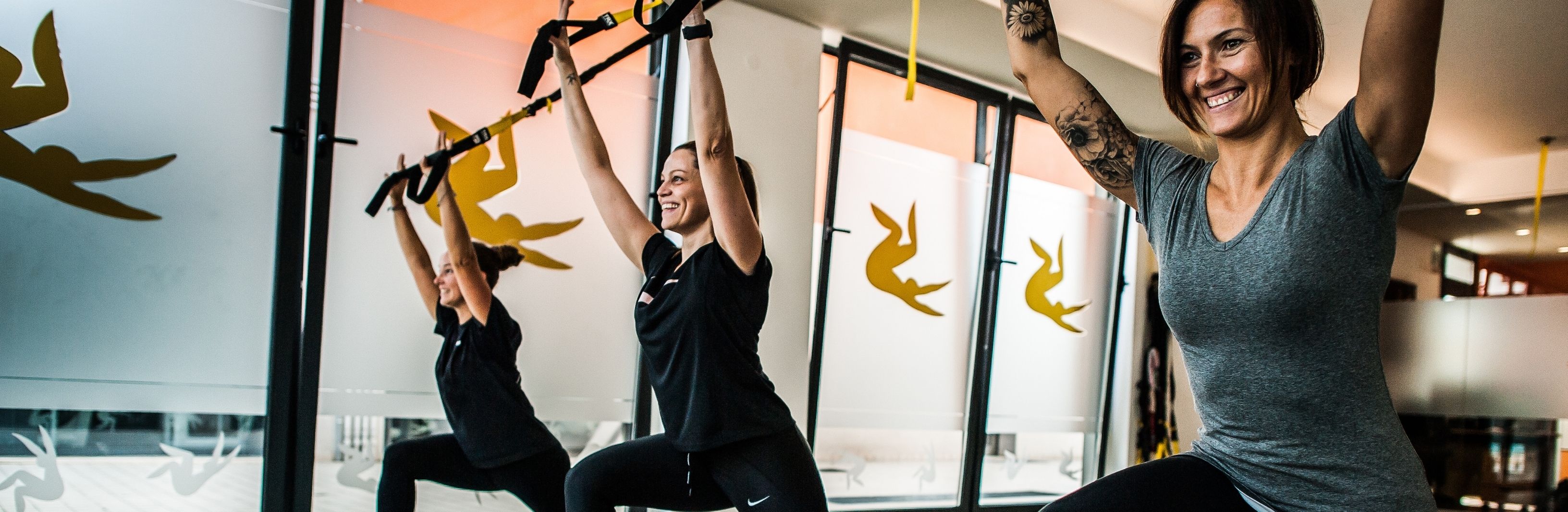 Trx Suspension training